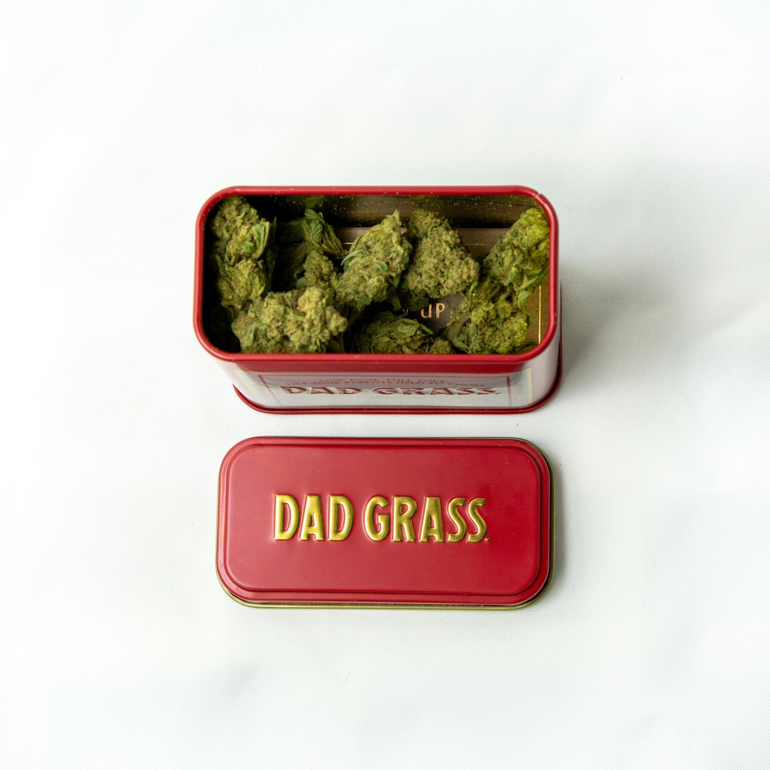Top view of red tin labeled 'Dad Grass' filled with cannabis buds on white background.